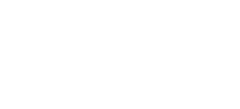 Boston Scientific Logo